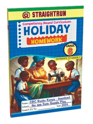 cbc_grade_6_holiday_homework_